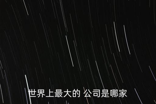 世界上最大的 公司是哪家