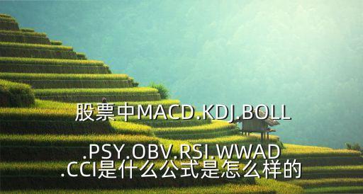  股票中MACD.KDJ.BOLL.PSY.OBV.RSI.WWAD.CCI是什么公式是怎么樣的