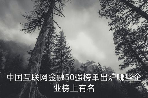 中國(guó)互聯(lián)網(wǎng)金融50強(qiáng)榜單出爐哪些企業(yè)榜上有名