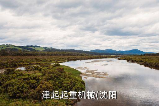 津起起重機械(沈陽