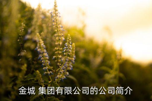 金城 集團有限公司的公司簡介