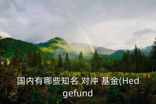 國內(nèi)有哪些知名 對(duì)沖 基金(Hedgefund