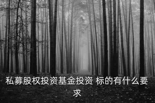 私募股權(quán)投資基金投資 標的有什么要求