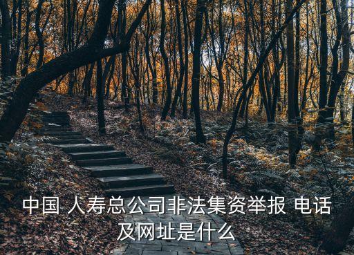 中國 人壽總公司非法集資舉報 電話及網(wǎng)址是什么