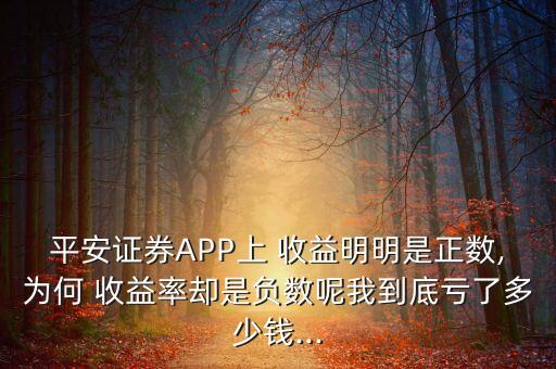 為什么投資收益為負(fù),投資收益是負(fù)的代表什么