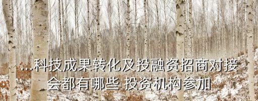 ...科技成果轉(zhuǎn)化及投融資招商對接會都有哪些 投資機構(gòu)參加