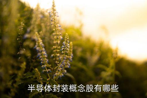 半導(dǎo)體封裝概念股有哪些