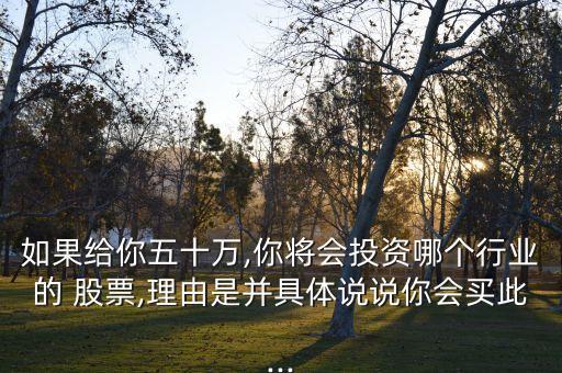 如果給你五十萬,你將會投資哪個行業(yè)的 股票,理由是并具體說說你會買此...