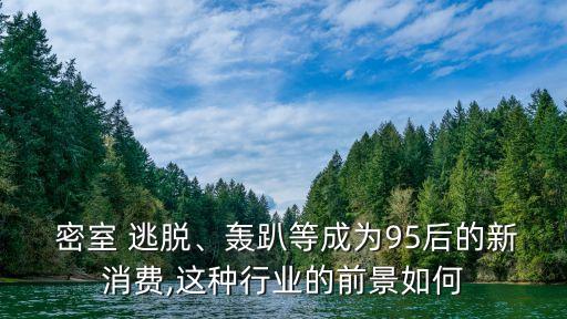  密室 逃脫、轟趴等成為95后的新消費(fèi),這種行業(yè)的前景如何