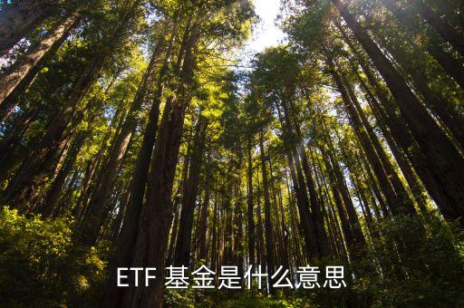 ETF 基金是什么意思