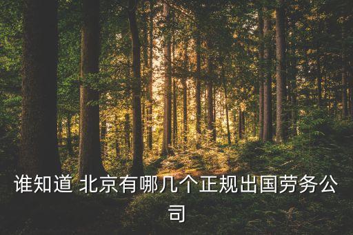 誰(shuí)知道 北京有哪幾個(gè)正規(guī)出國(guó)勞務(wù)公司