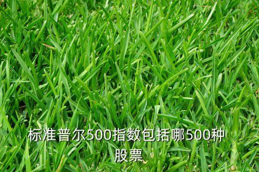 標(biāo)準(zhǔn)普爾500指數(shù)包括哪500種 股票