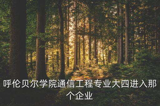 呼倫貝爾學(xué)院通信工程專業(yè)大四進(jìn)入那個(gè)企業(yè)