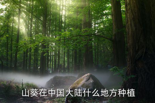 云南山葵公司,山葵云南種植地方