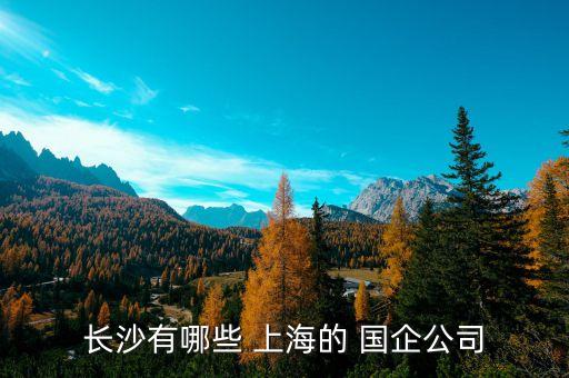 長沙有哪些 上海的 國企公司