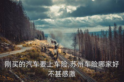 剛買(mǎi)的汽車(chē)要上車(chē)險(xiǎn),蘇州車(chē)險(xiǎn)哪家好不甚感激