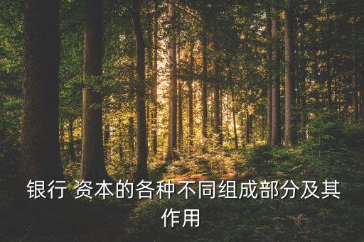  銀行 資本的各種不同組成部分及其作用