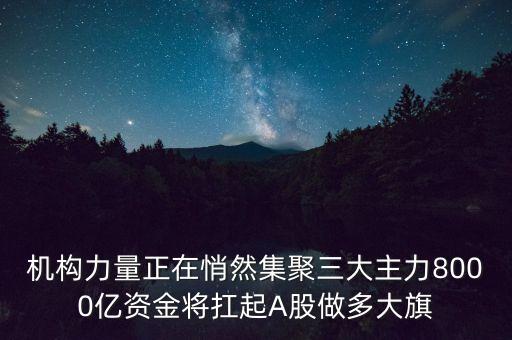 機(jī)構(gòu)力量正在悄然集聚三大主力8000億資金將扛起A股做多大旗