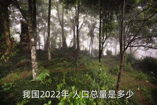 我國2022年 人口總量是多少