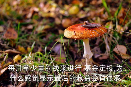 每月拿少量的錢來進(jìn)行 基金定投,為什么感覺顯示最后的收益會(huì)有很多