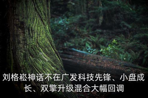 劉格崧神話不在廣發(fā)科技先鋒、小盤成長、雙擎升級混合大幅回調(diào)