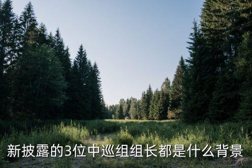 新披露的3位中巡組組長(zhǎng)都是什么背景