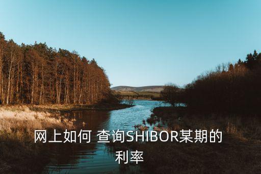 網(wǎng)上如何 查詢SHIBOR某期的 利率