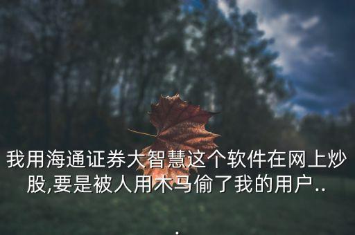 盜竊股票帳戶,未成年可以開股票帳戶嗎