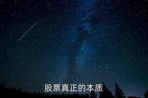 長(zhǎng)江電力公司章程