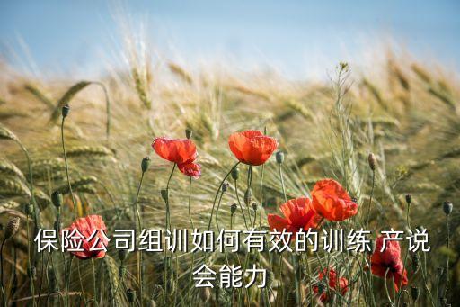  保險(xiǎn)公司組訓(xùn)如何有效的訓(xùn)練 產(chǎn)說會(huì)能力