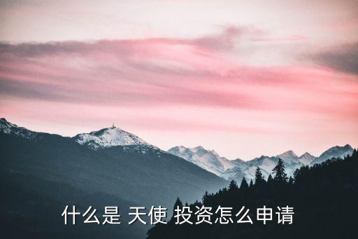 杭州天使投資基金,天使投資基金是什么意思