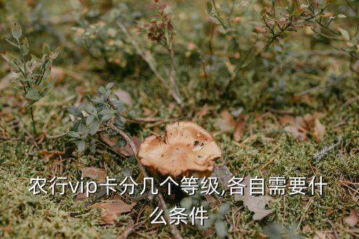 農(nóng)行vip卡分幾個等級,各自需要什么條件