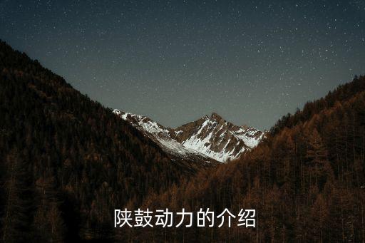  陜鼓動力的介紹