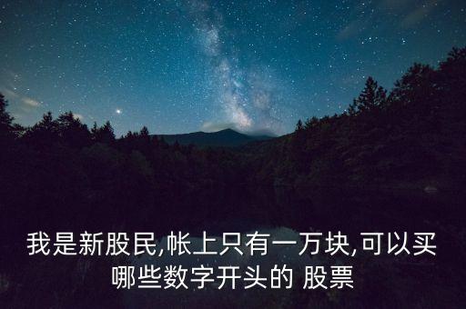 我是新股民,帳上只有一萬(wàn)塊,可以買哪些數(shù)字開頭的 股票