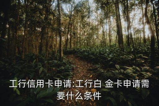 工行信用卡申請(qǐng):工行白 金卡申請(qǐng)需要什么條件