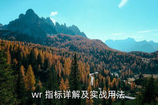 手機做股票WR是什么指標(biāo),wr是什么意思 股票 金叉