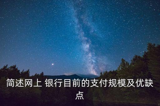 簡(jiǎn)述網(wǎng)上 銀行目前的支付規(guī)模及優(yōu)缺點(diǎn)