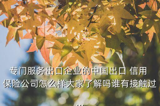 專(zhuān)門(mén)服務(wù)出口企業(yè)的中國(guó)出口 信用 保險(xiǎn)公司怎么樣大家了解嗎誰(shuí)有接觸過(guò)...