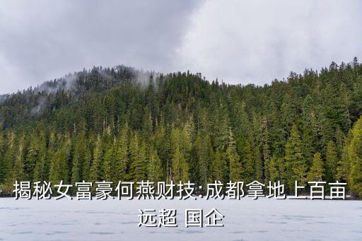 揭秘女富豪何燕財(cái)技:成都拿地上百畝遠(yuǎn)超 國(guó)企