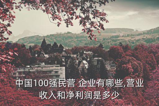 中國100強民營 企業(yè)有哪些,營業(yè)收入和凈利潤是多少