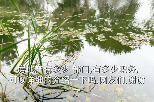  房地產(chǎn)有多少 部門,有多少職務(wù),可以詳細(xì)的介紹一下嗎,網(wǎng)友們,謝謝了