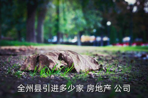 全州縣引進(jìn)多少家 房地產(chǎn) 公司