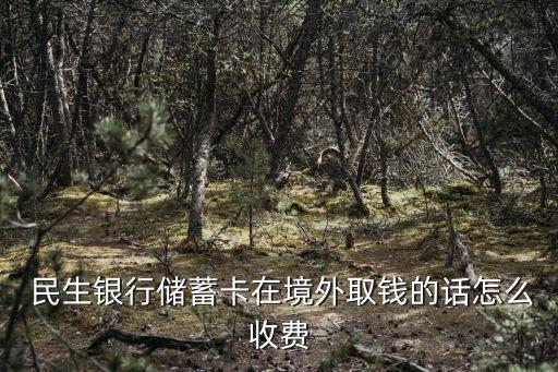  民生銀行儲(chǔ)蓄卡在境外取錢(qián)的話怎么收費(fèi)