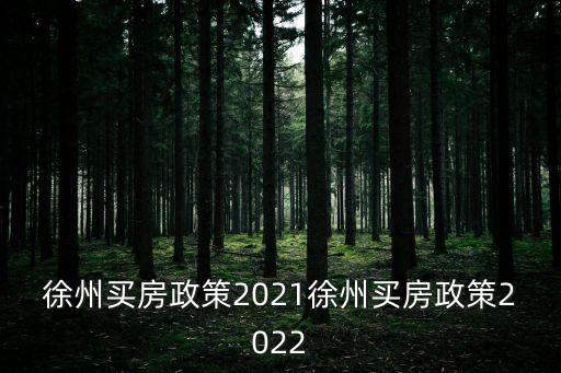 徐州買房政策2021徐州買房政策2022