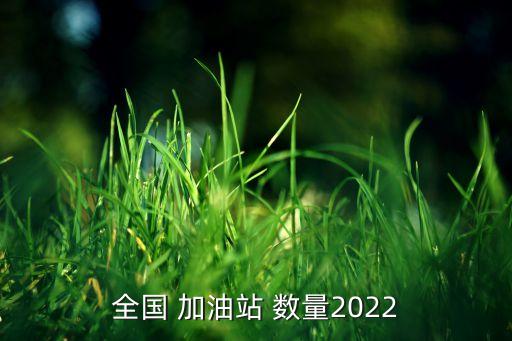 全國 加油站 數(shù)量2022