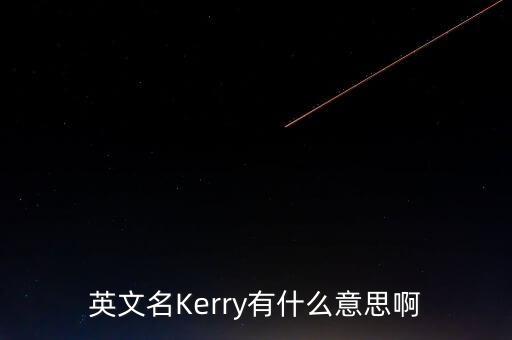 愛爾蘭kerry集團(tuán)