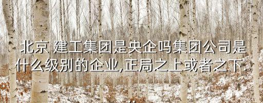  北京 建工集團是央企嗎集團公司是什么級別的企業(yè),正局之上或者之下...