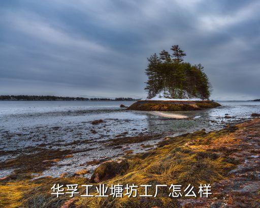 華孚科技上海有限公司,華孚精密科技(馬鞍山)有限公司怎么樣