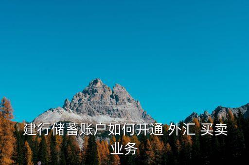  建行儲(chǔ)蓄賬戶(hù)如何開(kāi)通 外匯 買(mǎi)賣(mài)業(yè)務(wù)