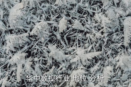 華中數(shù)控行業(yè) 地位 分析